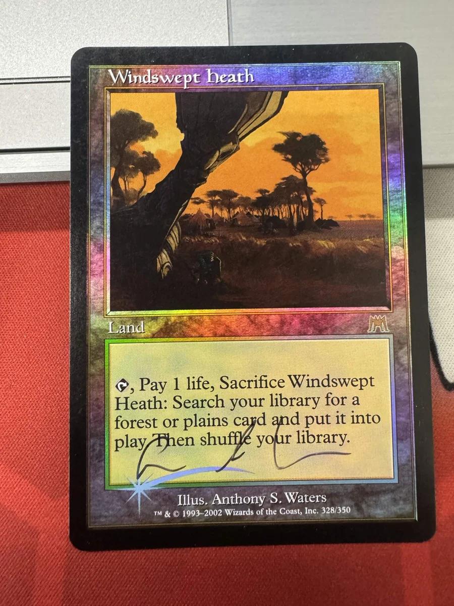 Windswept Heath