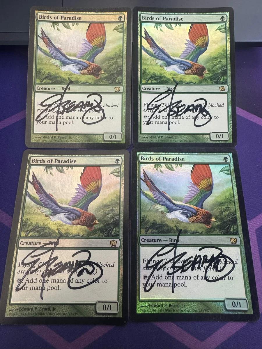 Birds of Paradise