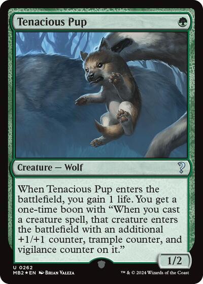 Tenacious Pup