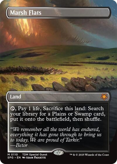 Marsh Flats (Borderless)