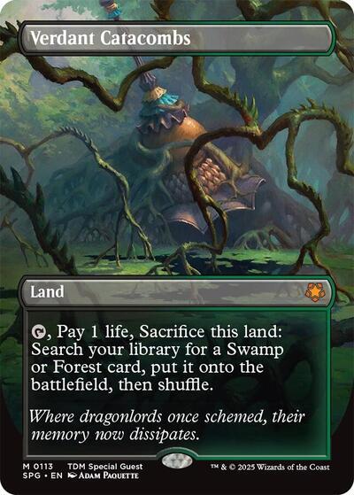 Verdant Catacombs (Borderless)